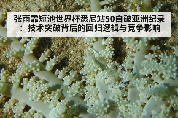 张雨霏短池世界杯悉尼站50自破亚洲纪录：技术突破背后的回归逻辑与竞争影响