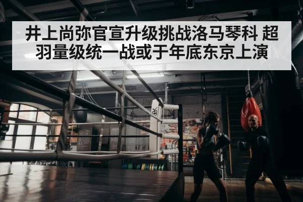 boxer training